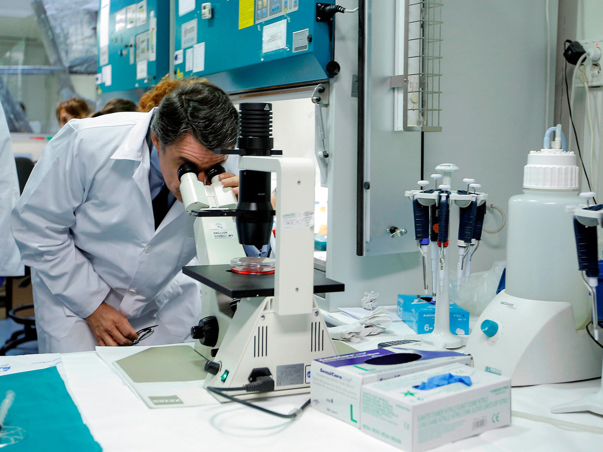 Phases of the drugs and bio-products studies 